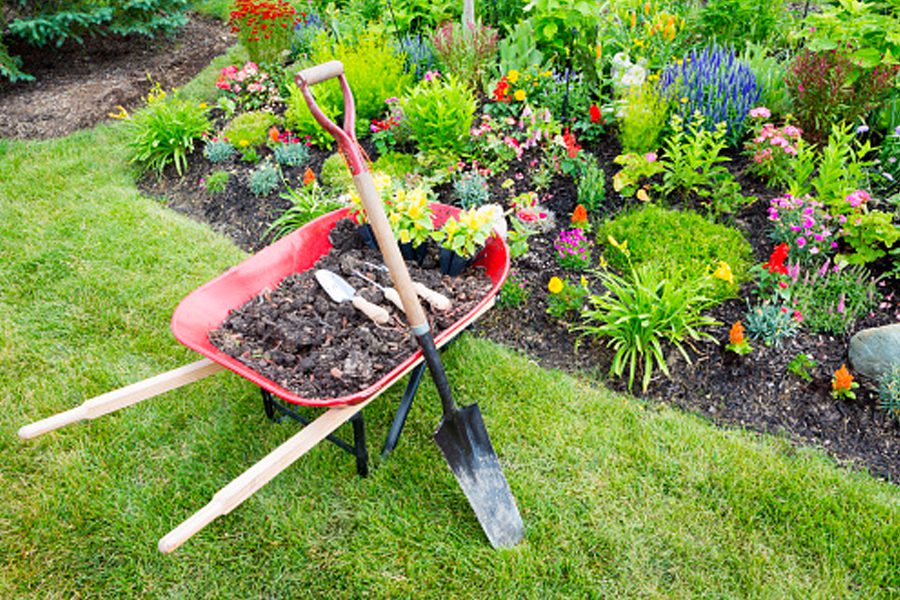 flowerbed maintenance